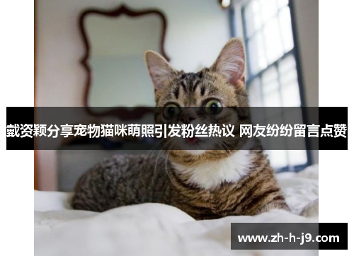 戴资颖分享宠物猫咪萌照引发粉丝热议 网友纷纷留言点赞 戴资颖分享宠物猫咪萌照引发粉丝热议 网友纷纷留言点赞