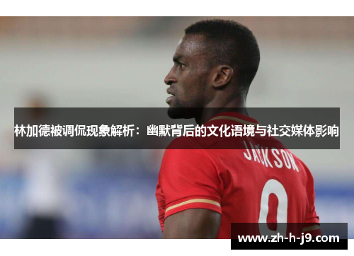 林加德被调侃现象解析：幽默背后的文化语境与社交媒体影响