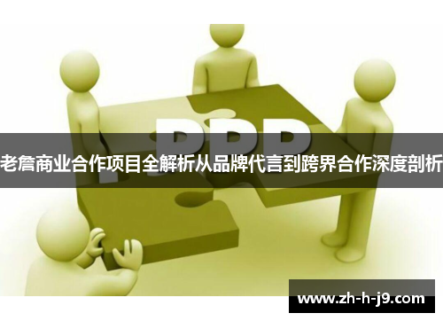 老詹商业合作项目全解析从品牌代言到跨界合作深度剖析
