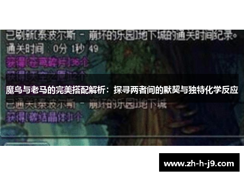 魔鸟与老马的完美搭配解析：探寻两者间的默契与独特化学反应