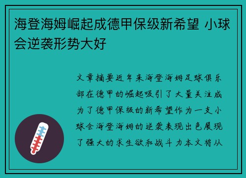 海登海姆崛起成德甲保级新希望 小球会逆袭形势大好